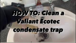 HOW TO: Clean the condensate trap on a Vaillant ecotec boiler