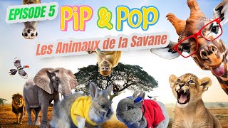 🌍🐾 Pip \u0026 Pop 🐰🥕 : Apprenez les animaux de la savane en safari ! 🦓🦁🐒 Contenu éducatif et amusant 🎶