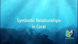 Deep Sea Learning: Symbiotic Relationships