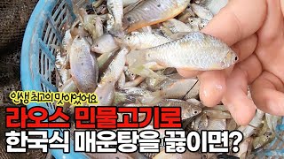 [2편] 라오스 민물고기로 한국식 매운탕을 끓이면 어떤 맛일까?