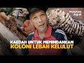 [PART 2] Kaedah Pemindahan Koloni Lebah Kelulut