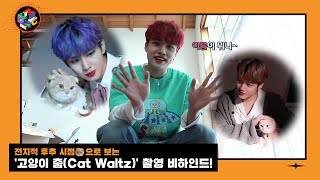 [Let's Play MCND] M-HINDㅣ전지적 후추 시점😸 으로 보는 '고양이 춤(Cat Waltz)' 촬영 비하인드!