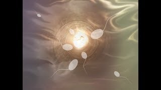 Is the sperm count dropping western world and does it matter?