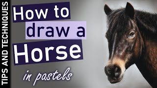 Drawing a horse in pastels | Fur & hair drawing tips