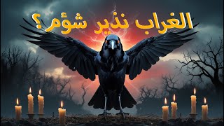 الغراب: لماذا يعتبر نذير شؤم في الثقافات حول العالم؟ 🐦⚡