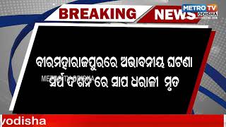 ସର୍ପ ଦଂଶନ ରେ ସାପ ଧରାଳି ମୃତ | METRO TV ODISHA ||