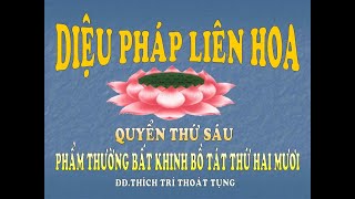 Kinh Diệu Pháp Liên Hoa  Phẩm 20 (Không Quảng Cáo) | TT.Thích Trí Thoát