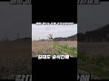 매빅미니프로4 날개 강력하네요 매빅4프로 dji mavic 드론