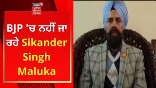 BJP 'ਚ ਨਹੀਂ ਜਾ ਰਹੇ Sikander Singh Maluka | News18 Punjab