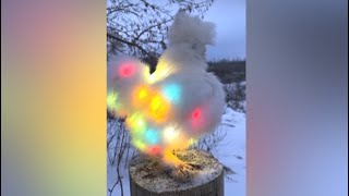 Ontario family's Christmas chicken video makes headlines