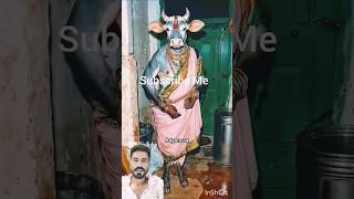 Ishwar Satya hai Shiv 70 hai ઈશ્વર સત્ય શિવ🙏💫💦🙏💫💦Mahadev Status Video 🙏#cow #lordshiv