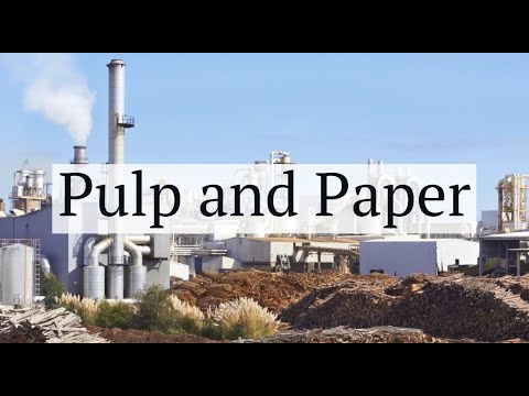 Durlon Case Study Pulp Paper Youtube