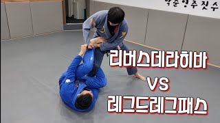 기초)리버스데라히바 vs 레그드레그패스