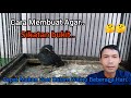 Cara Membuat Agar Sikatan Bukit Cepat Makan Voer..2022 🐦