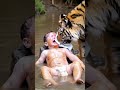 Lion baths the baby inbwater  violatong the trafic laws of nature 🫢 #kidsandpets #animals #jerryyan