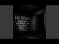 Echoform