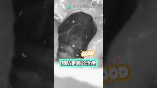 😱膿包竄出！牙齒內的不速之客 ☕｜張文信牙醫診所/台中顯微根管治療大師/顯微根管/DSD數位美齒 /DSD微笑設計/張文信牙醫/台中牙醫/台中DSD微笑設計推薦/台中顯微根管治療推薦