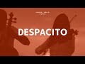 Despacito - Luis Fonsi ft. Daddy Yankee [Violin + Cello Cover]