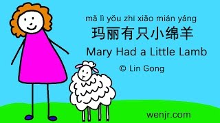 Chinese for kids: Mary Had a Little Lamb 玛丽有只小绵羊 Children Song English Translation Pinyin