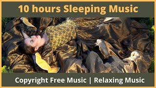 🔴[No Copyright] 10 hours Background Music, Relaxing Spa,Gym, Spa Music by Silkroute Background Music