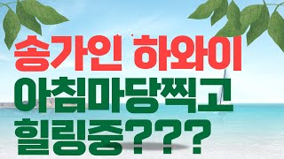 송가인 하와이 아침마당찍고 힐링중???