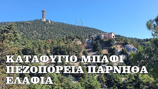 ΚΑΤΑΦΥΓΙΟ ΜΠΑΦΙ - ΠΕΖΟΠΟΡΕΙΑ ΠΑΡΝΗΘΑ - ΕΛΑΦΙΑ