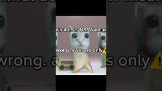 what does NSFW mean#elgato #shorts
