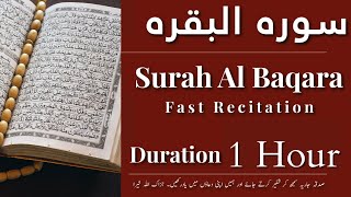Surah Baqarah Full | Surah Baqarah Fast Recitation | Surah Baqarah Speed Reading