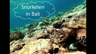 Snorkelen in Bali