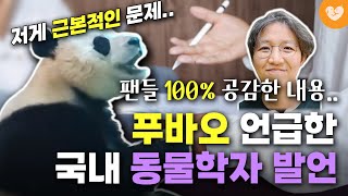 푸바오 언급한 국내 동물학자 발언, 팬들 100% 공감한 내용