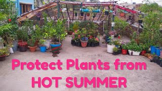 तेज़ धूप(Hot Summer) से अपने पौधे को बचाने के लिए ये काम जरूर करे || YOU MUST DO