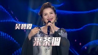 花腔女高音吴碧霞演唱云南花灯《采茶调》 太惊艳了！[民歌中国] | 中国音乐电视 Music TV