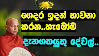 ගෙදර ඉදන් භාවනාව කරන... හැමෝම දැනගතයුතු දේවල් ..../meditation programs /Amarawansha Thero