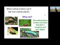 invasive species and the importance of native plants north carolina wildlife federation