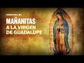 Mañanitas a la Virgen de Guadalupe 2024 en vivo desde la Basílica