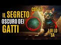 🐱Segreti dei Gatti Svelati: Come Scoprire il Loro Potere Nascosto nella Tua Vita! 🌌🔍