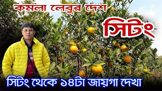 Sittong Tour Guide | সিটং থেকে এত কিছু দেখা | Sittong Homestay | Sittong Darjeeling | Orange Garden