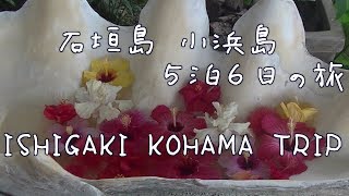 沖縄 石垣島旅行① ISHIGAKI TRIP2018