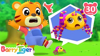 Little Spider's Adventure| Animal Songs Compilation | Fun Kids Songs & Nursery Rhymes by BarryTiger