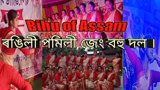 bihu of Assam                                              ৰঙিলী পমিলী জেং বিহু দল ।