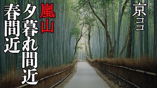 【京都おすすめ】春間近 夕暮れ間近 嵐山　気まぐれ散歩【京のココ見といやす】【京都観光旅行】