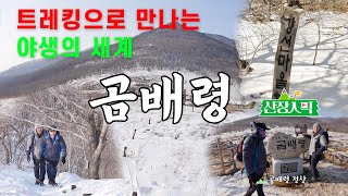 [#산장인픽] 곰배령 - 겨울 말미에 떠나는 자연 정원