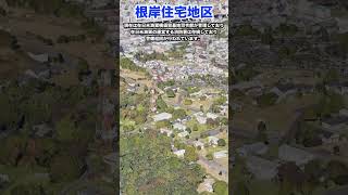 【空から見る】本州にある在日米軍施設　根岸住宅地区　#shorts