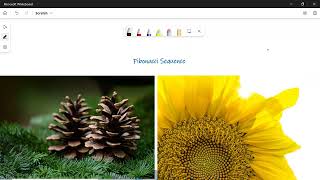 Fibonacci Sequence in Python | Recursive Function | Memoization in Python | Intelligent Learner