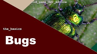 Videogame Bugs (Sources and Resolution) - The Basics