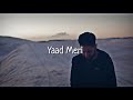 Yaad_Meri_-_Pavvan_|_Rokitbeats_|_Pav_Dharia_|_(Lyrics Video)