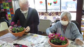 デイサービス　行田　愛の幸望庵　寄せ植え～仕上げPARTⅡ～