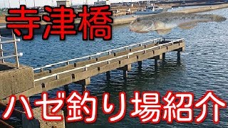 【愛知釣り】寺津橋・ハゼ釣り場を紹介！夏に人気のポイント！【西尾市】