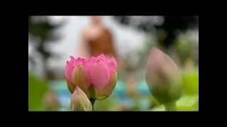 រៀបចំ​ ពិធី​បុណ្យ​មាឃបូជា (Meak Bochea)