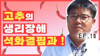 고추 주요 병해충 및 생리장해 - 석화결핍과